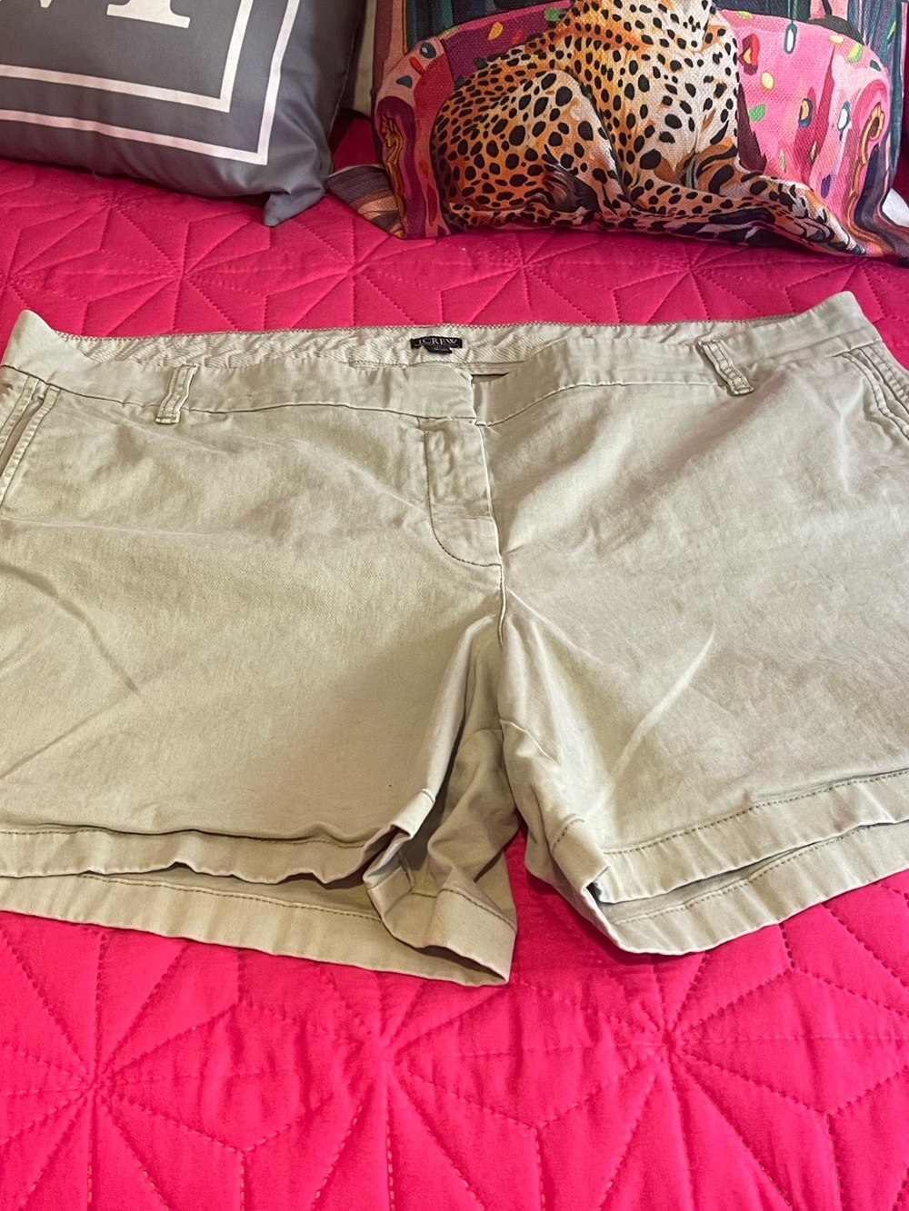 J. Crew Shorts